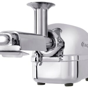 Angel Juicer 5500 - SUS304