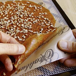 Dörrfolie stark T6 355 x 355 mm für Excalibur