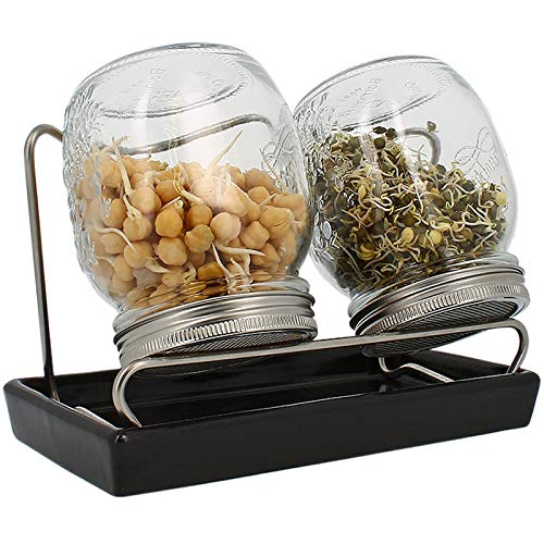 Eschenfelder Sprossengläser System II 750ml anthrazit | Edelstahl | Herstellung in Deutschland | Keimsaaten