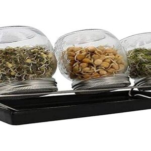 Eschenfelder Sprossengläser System III (anthrazit, 750 ml)