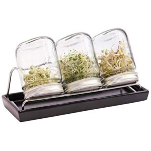 Eschenfelder Sprossengläser System III