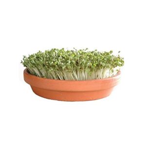 Schale und Sieb – D 16 cm – braun