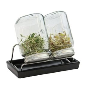 Sprossengläser System III